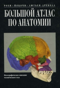 extrasyllogistic