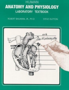 extrasyllogistic