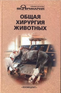 extrasyllogistic