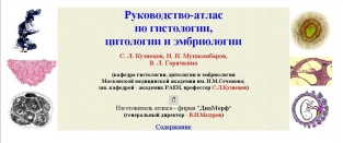 extrasyllogistic
