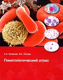 extrasyllogistic