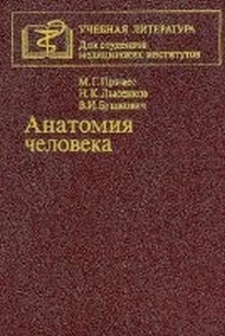 extrasyllogistic