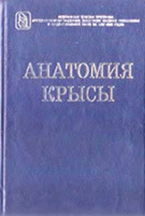 extrasyllogistic