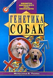 extrasyllogistic
