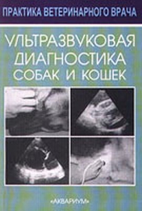 extrasyllogistic