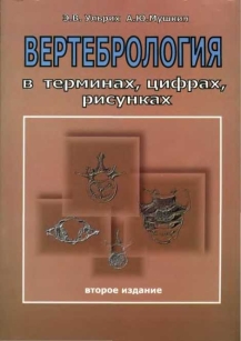 extrasyllogistic