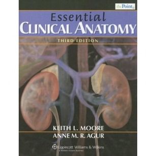 extrasyllogistic
