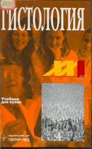 extrasyllogistic