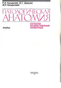 extrasyllogistic