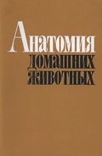 extrasyllogistic