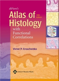 extrasyllogistic