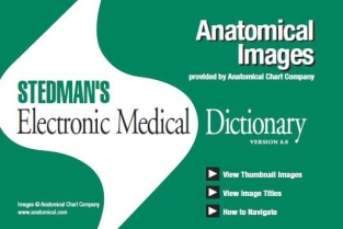 extrasyllogistic
