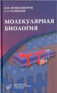 extrasyllogistic