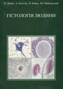 extrasyllogistic