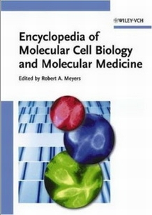 extrasyllogistic