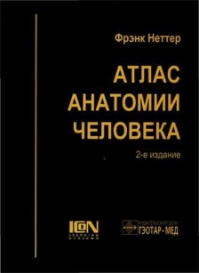 extrasyllogistic