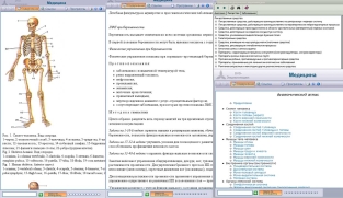 extrasyllogistic