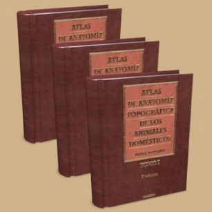 extrasyllogistic