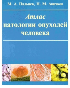 extrasyllogistic