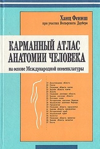extrasyllogistic