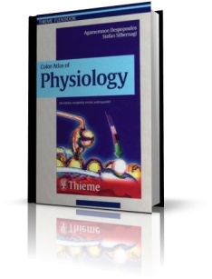 extrasyllogistic