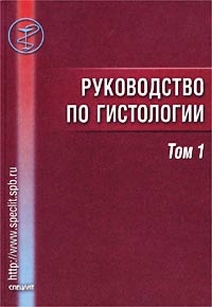 extrasyllogistic