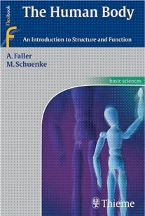 extrasyllogistic