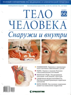 extrasyllogistic