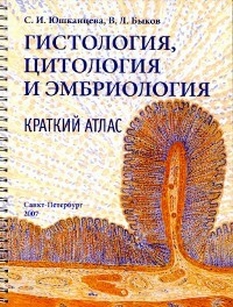 extrasyllogistic