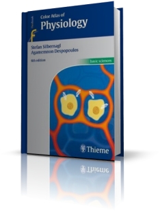 extrasyllogistic