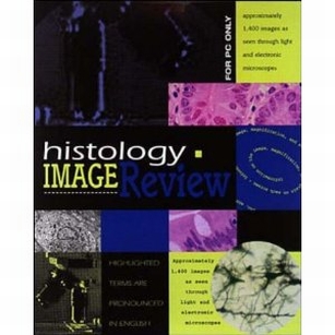extrasyllogistic