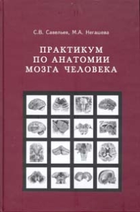 extrasyllogistic