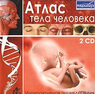 extrasyllogistic