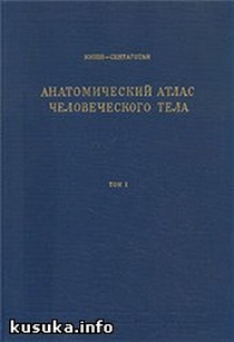 extrasyllogistic