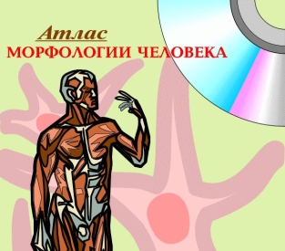 extrasyllogistic