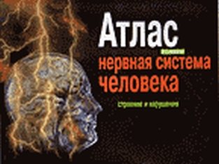 extrasyllogistic
